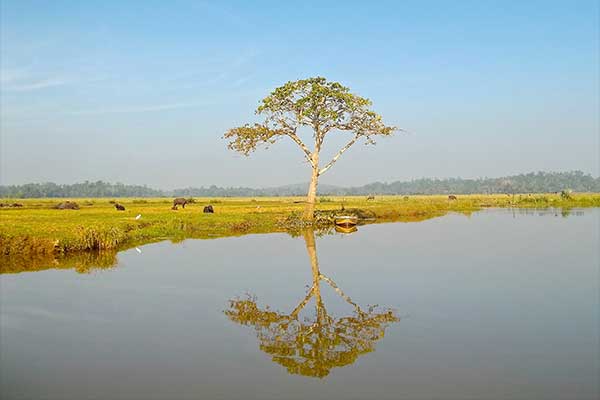 Luxury Resort Sri Lanka