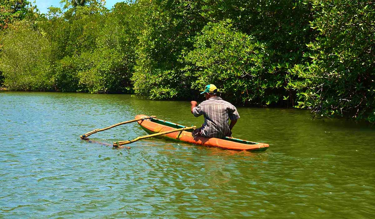 Mangrove Lagoon Boat Safari - Malabar Hill Sri Lanka